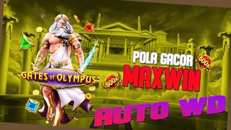 olympus pasti maxwin